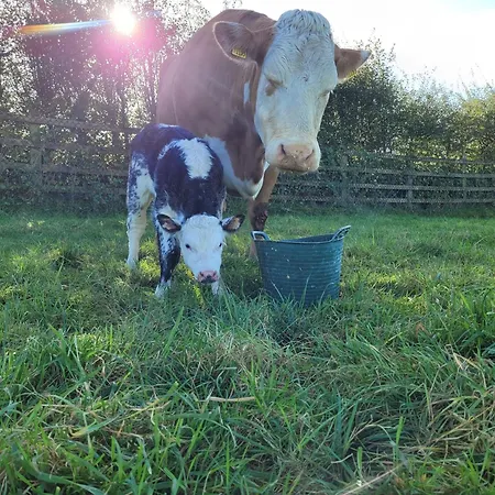 Casa vacanze Maisie&bea's