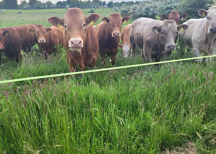 Maisie And Bea's Σπίτι διακοπών