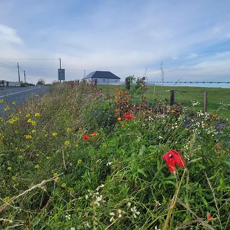 Maisie And Bea's Galway