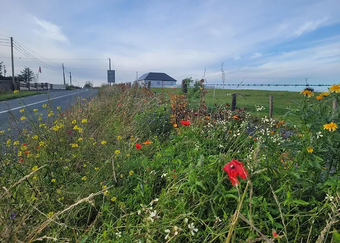 Maisie And Bea's Galway