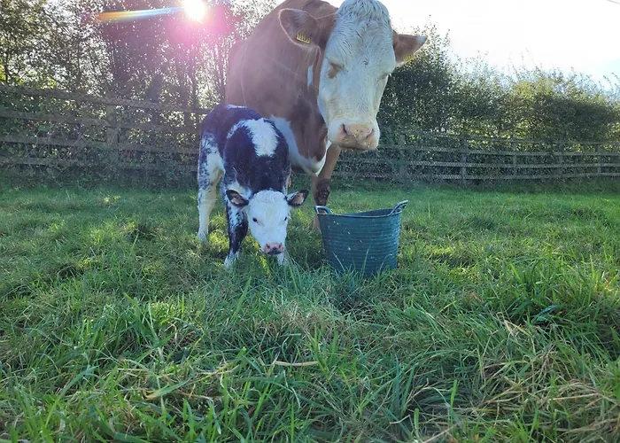 Prázdninový dům Maisie And Bea's